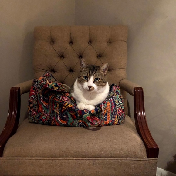 Meet your Posher, Michaela - Picture 10 of 12